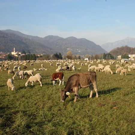 Pensión Amata Valgre 3*