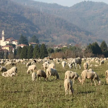 Amata Valgre Affittacamere, Comfort E Pulizia Eccezionali!! ゲストハウス 3*