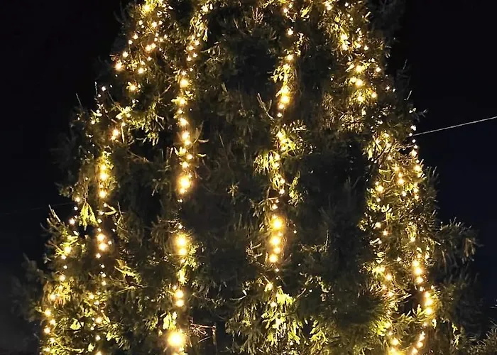 Amata Valgre Affittacamere, Comfort E Pulizia Eccezionali!! 4* Olginate